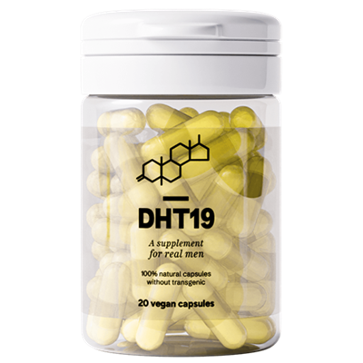 DHT19